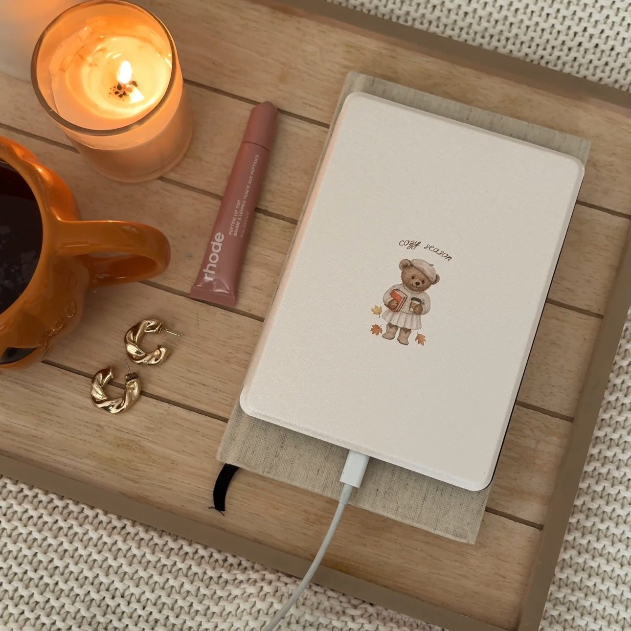 Cozy Teddy Kindle Case